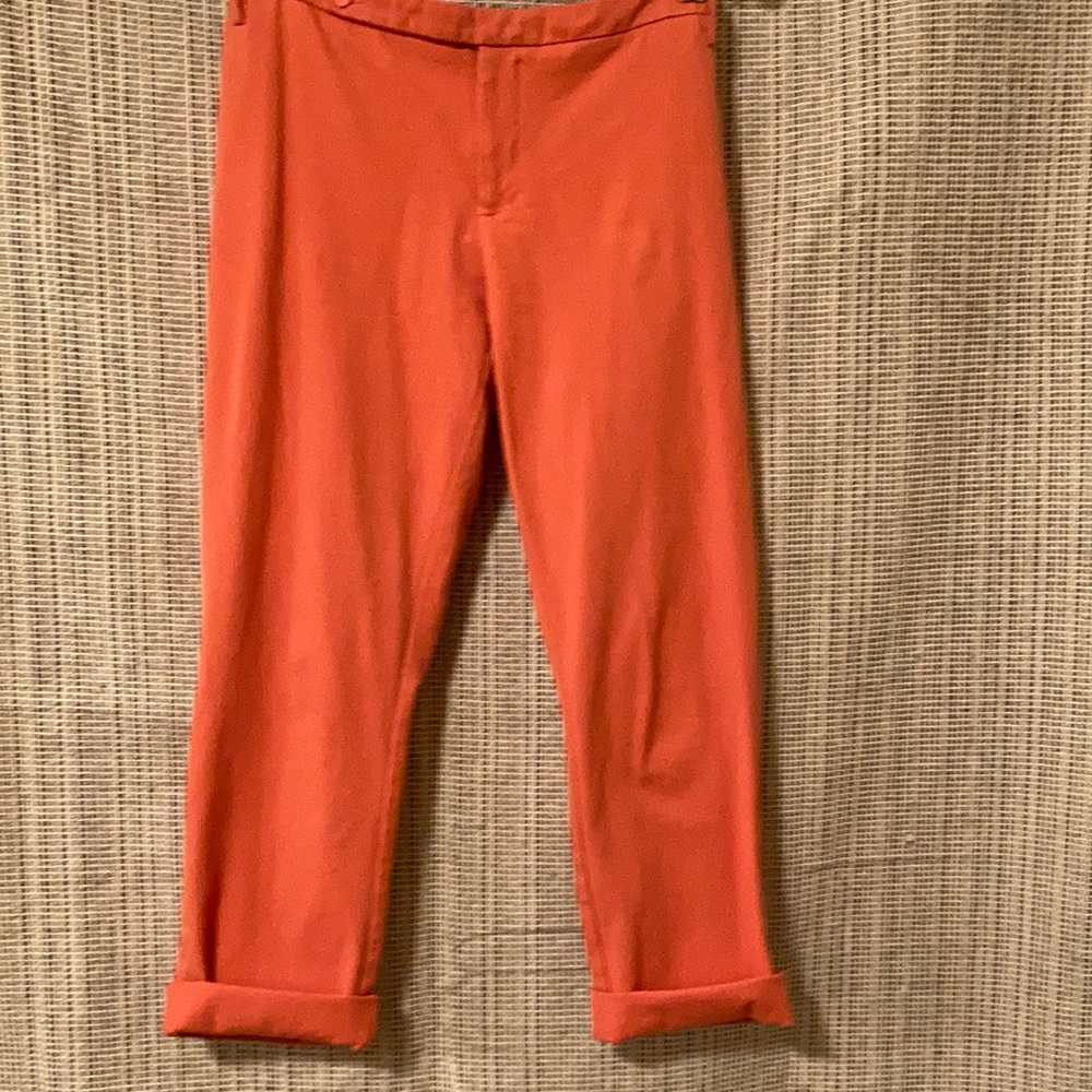 Wassio Straight Ankle Pants  Size 12